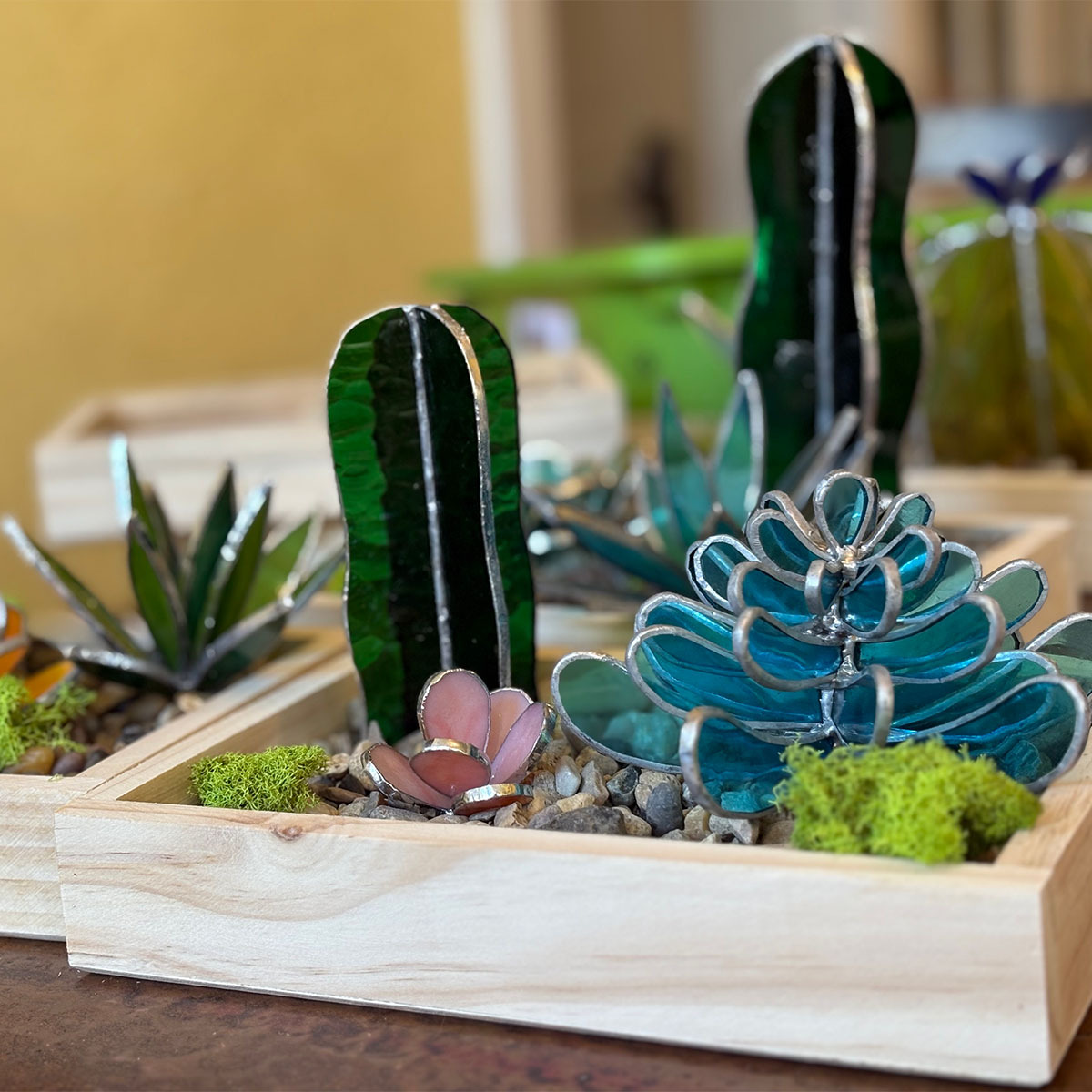 3D Succulent Garden Piece  workshop Pane in the Glass Wyo Casper Wyoming