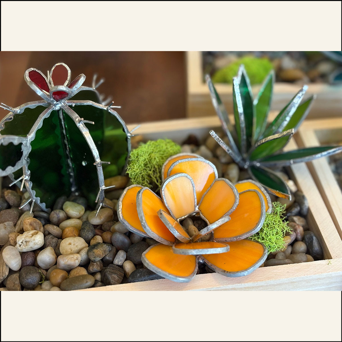 3D Succulent Piece  workshop Pane in the Glass Wyo Casper Wyoming